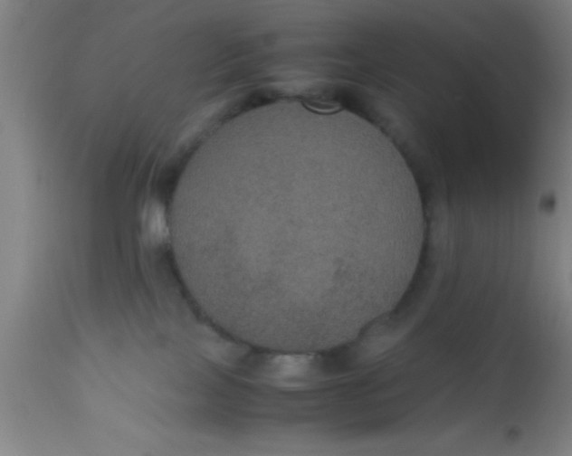 X0000112530089200909071408