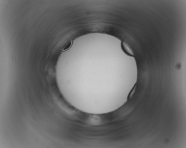 X0000112530091200909071408