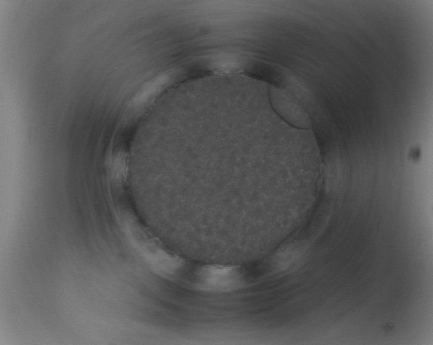 X0000112530093200909071408