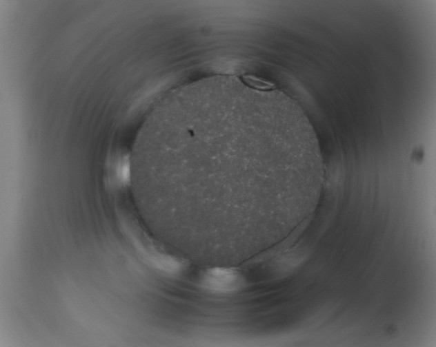 X0000112530095200909071408