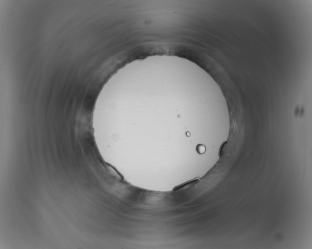 X0000112530096200909071408