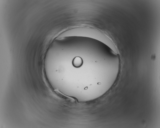 X0000112530097200909071408