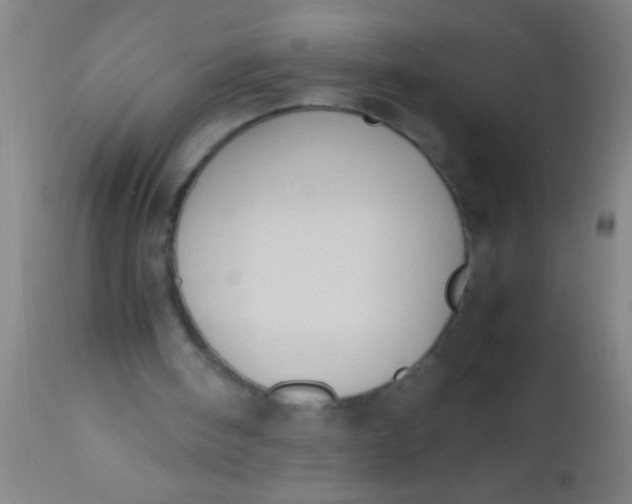 X0000112530098200909071407