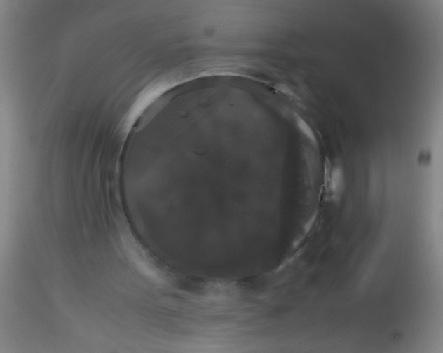 X0000112530099200909071407