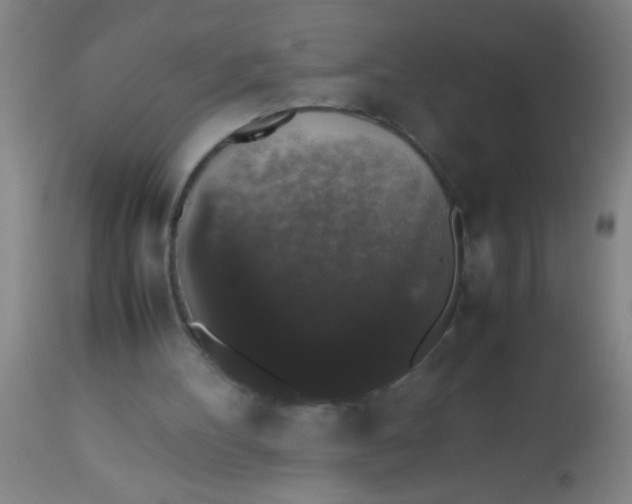 X0000112530100200909071407