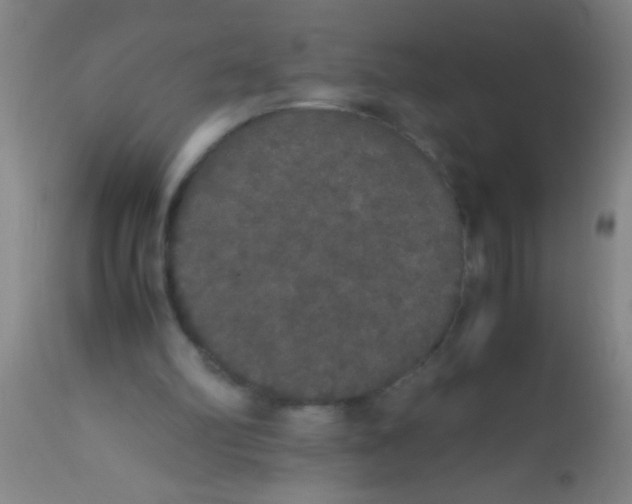 X0000112530102200909071407