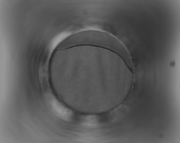 X0000112530104200909071407