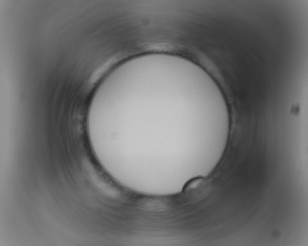 X0000112530106200909071407