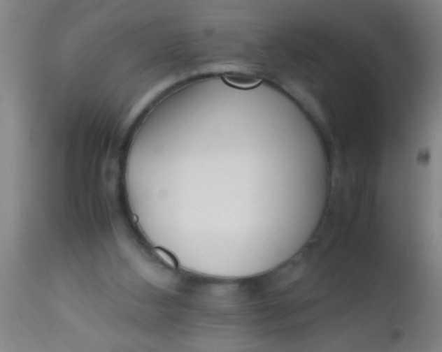 X0000112530108200909071407