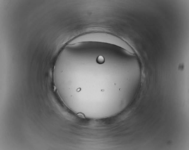 X0000112530109200909071407