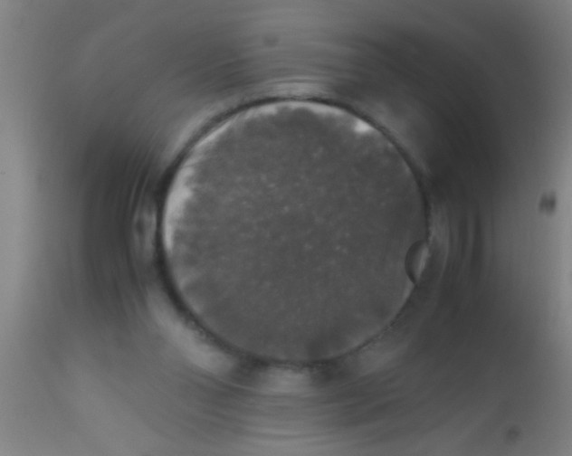 X0000112530110200909071407