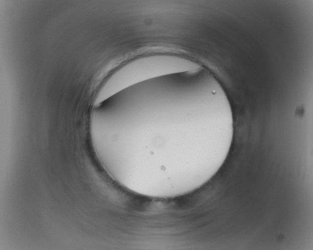 X0000112530111200909071407