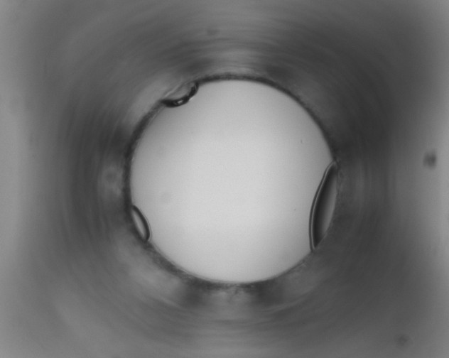 X0000112530112200909071407