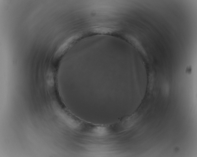 X0000112530114200909071407