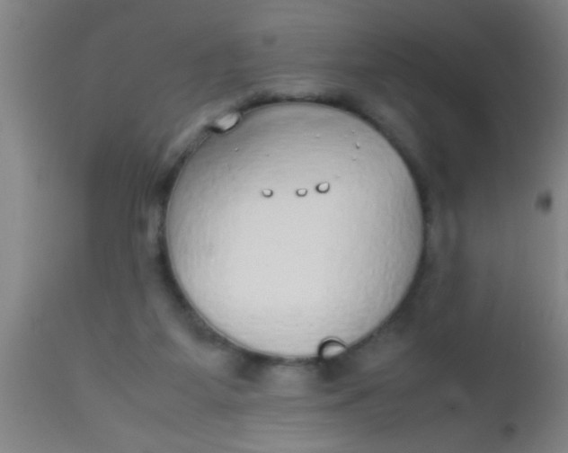 X0000112530115200909071407