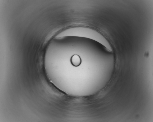 X0000112530116200909071407