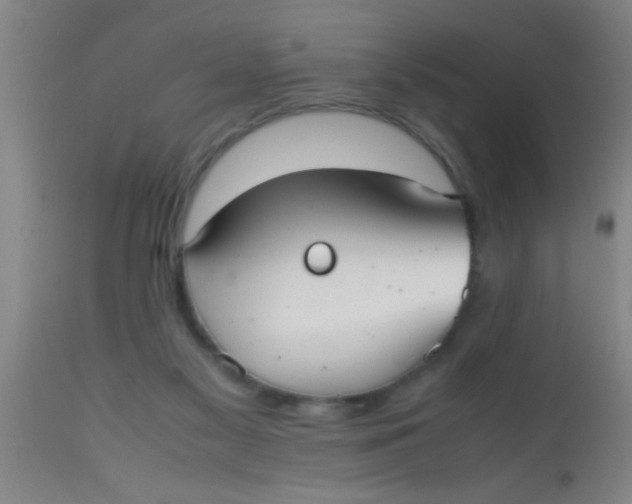 X0000112530117200909071407