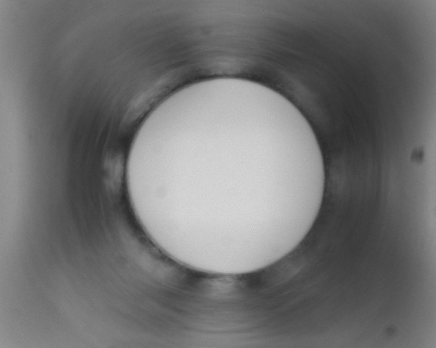 X0000112530118200909071407