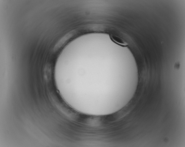 X0000112530120200909071407