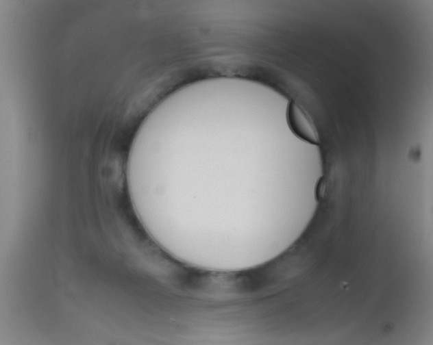 X0000112530121200909071407