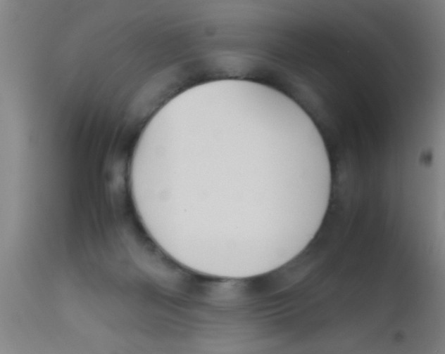 X0000112530122200909071407