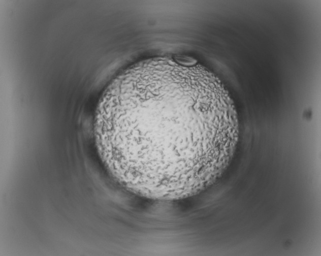 X0000112530123200909071407