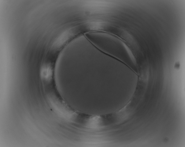 X0000112530124200909071407