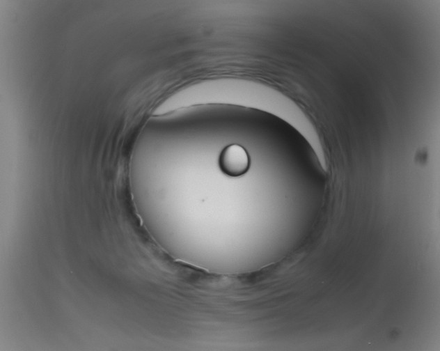 X0000112530125200909071407