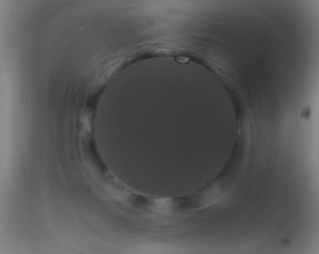 X0000112530127200909071407