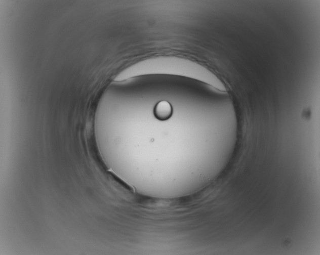 X0000112530129200909071407