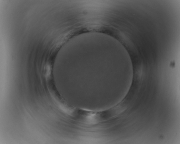 X0000112530130200909071407