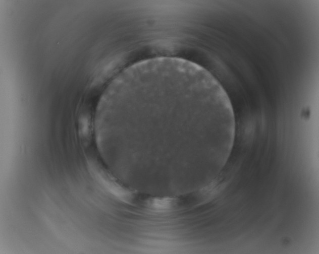 X0000112530134200909071407