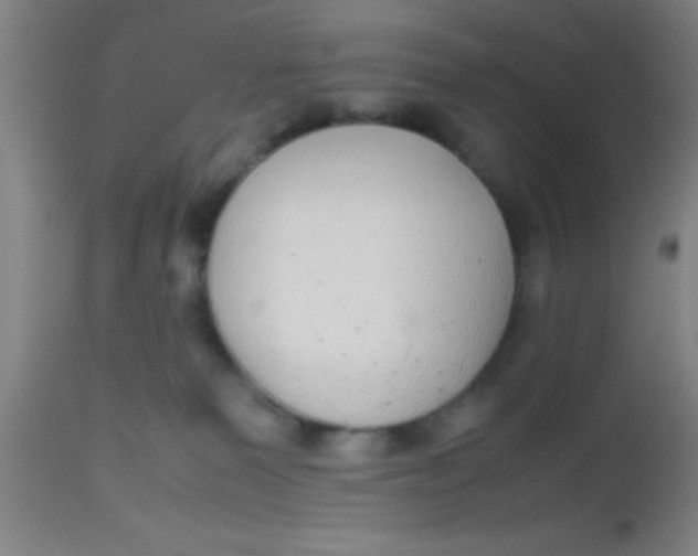 X0000112530135200909071407