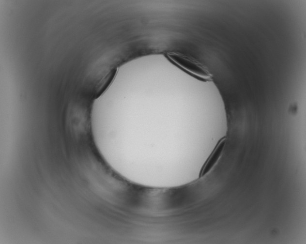 X0000112530136200909071407