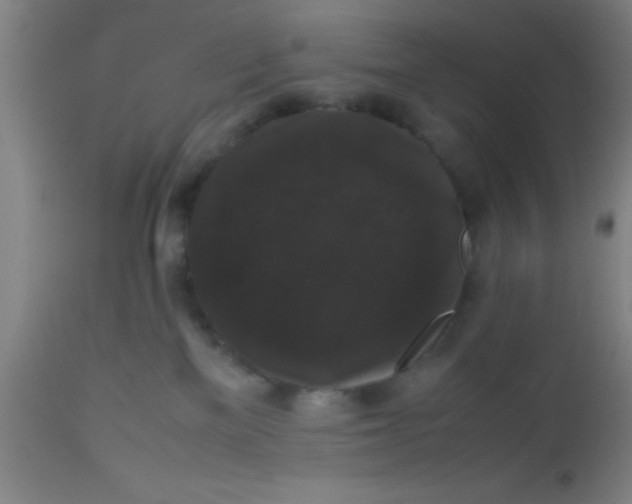 X0000112530137200909071407