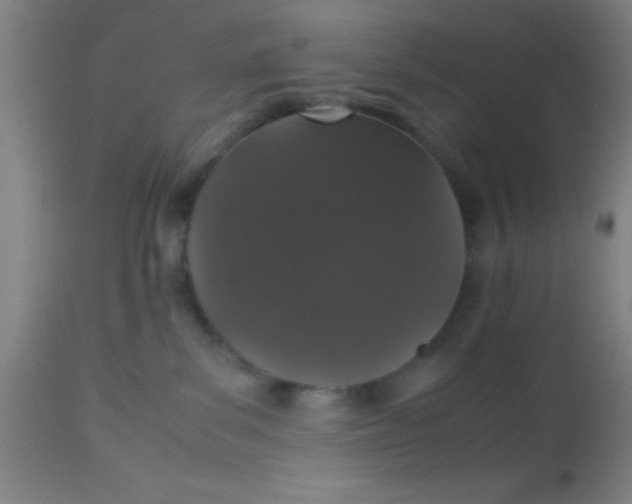 X0000112530139200909071407