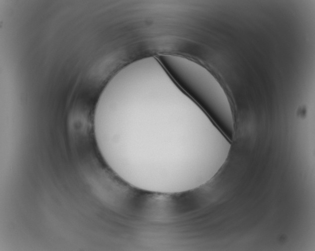 X0000112530140200909071407