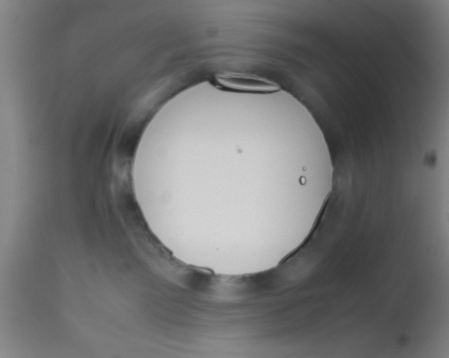 X0000112530141200909071407