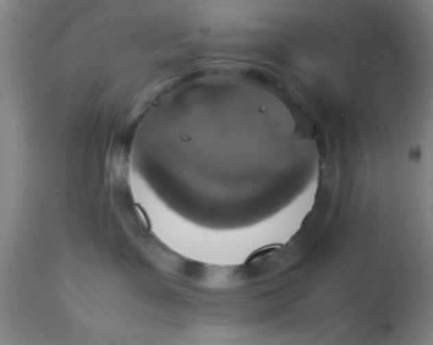 X0000112530143200909071407