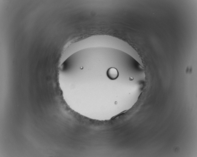 X0000112530144200909071407