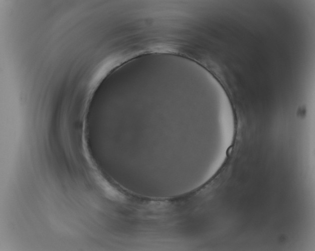 X0000112530145200909071406