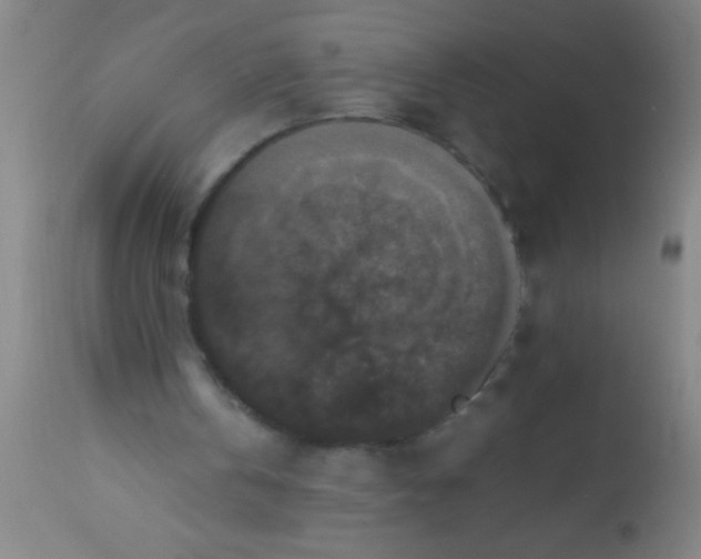 X0000112530146200909071406