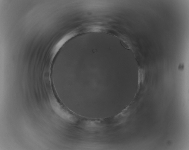 X0000112530147200909071406