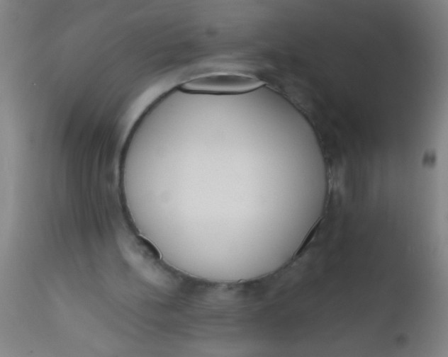 X0000112530148200909071406