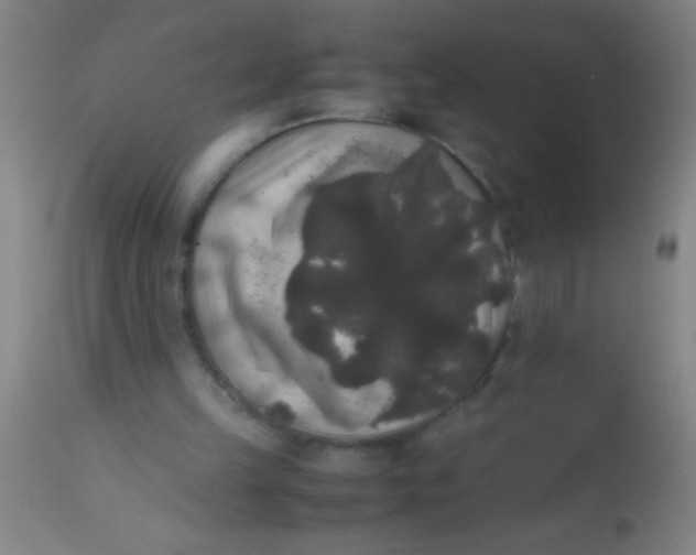 X0000112530149200909071406