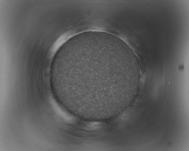 X0000112530151200909071406