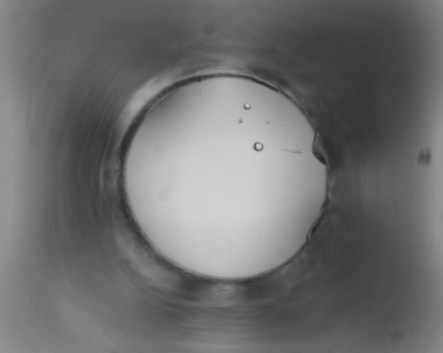 X0000112530152200909071406