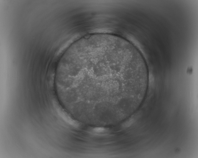 X0000112530153200909071406