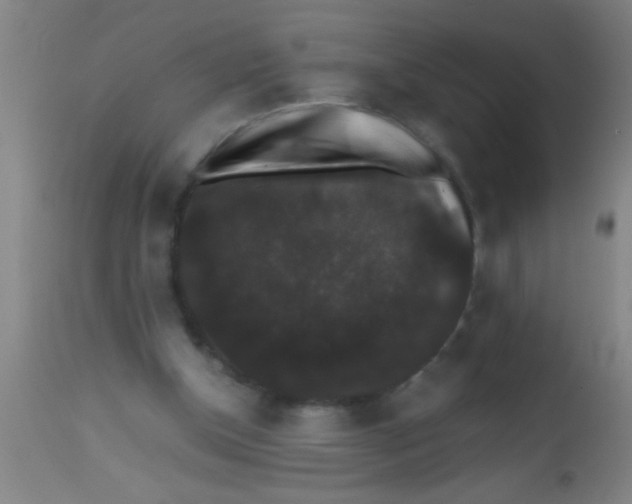 X0000112530154200909071406