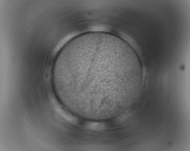 X0000112530155200909071406